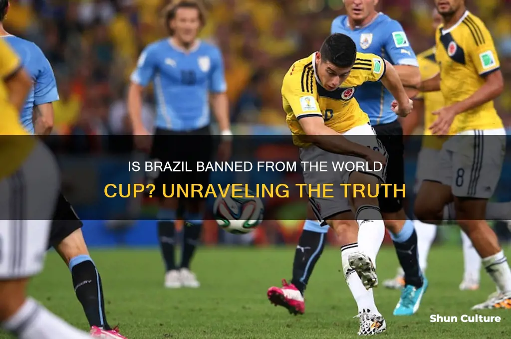 is brazil banned from world cup