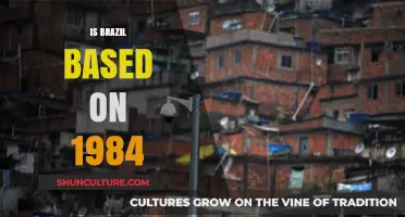 Brazil's Surveillance State: Echoes of Orwell's 1984 in Modern Society