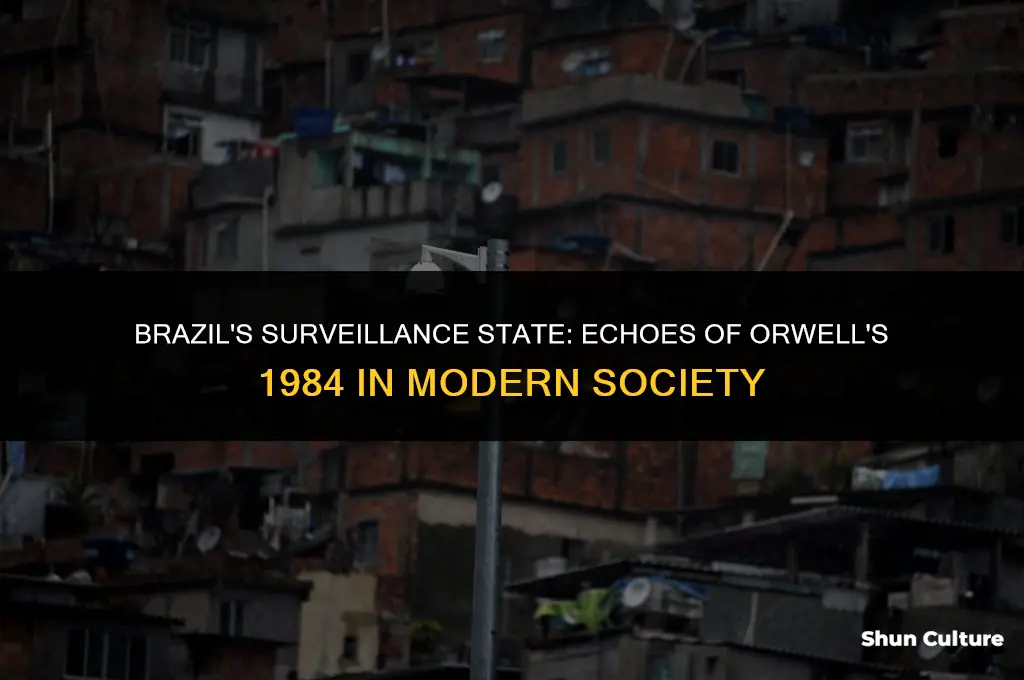 is brazil based on 1984