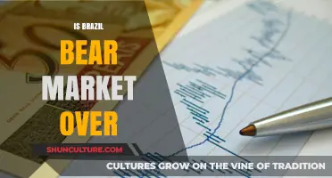 Has Brazil's Bear Market Ended? An In-Depth Analysis