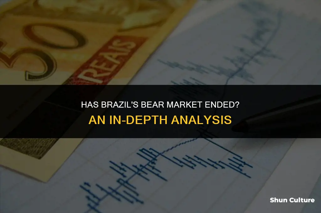 is brazil bear market over