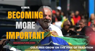 Brazil's Rising Global Influence: A Shift in Power Dynamics