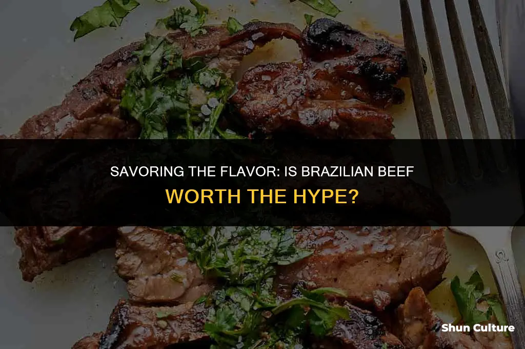 is brazil beef good