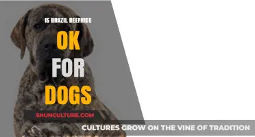 Is Brazilian Beefhide Safe for Dogs: A Comprehensive Guide