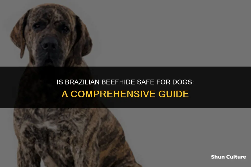 is brazil beefhide ok for dogs