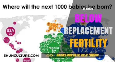 Brazil's Fertility Rate: Understanding the Implications of Below-Replacement Levels