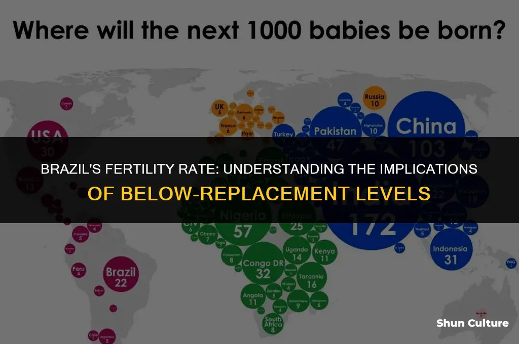 is brazil below replacement fertility