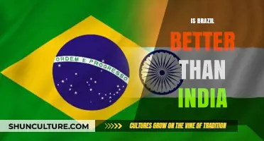 Comparing Giants: Brazil and India's Economic and Cultural Showdown