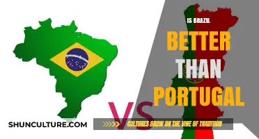 Exploring the Cultural and Economic Dynamics: Brazil vs. Portugal