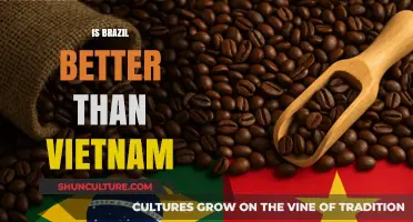 Exploring the Pros and Cons: Brazil vs. Vietnam Comparison