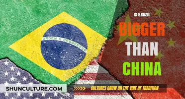 Comparing Giants: Brazil's Size in Perspective to China
