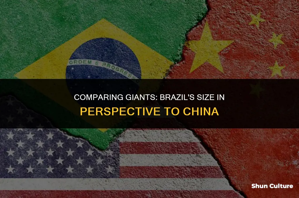 is brazil bigger than china