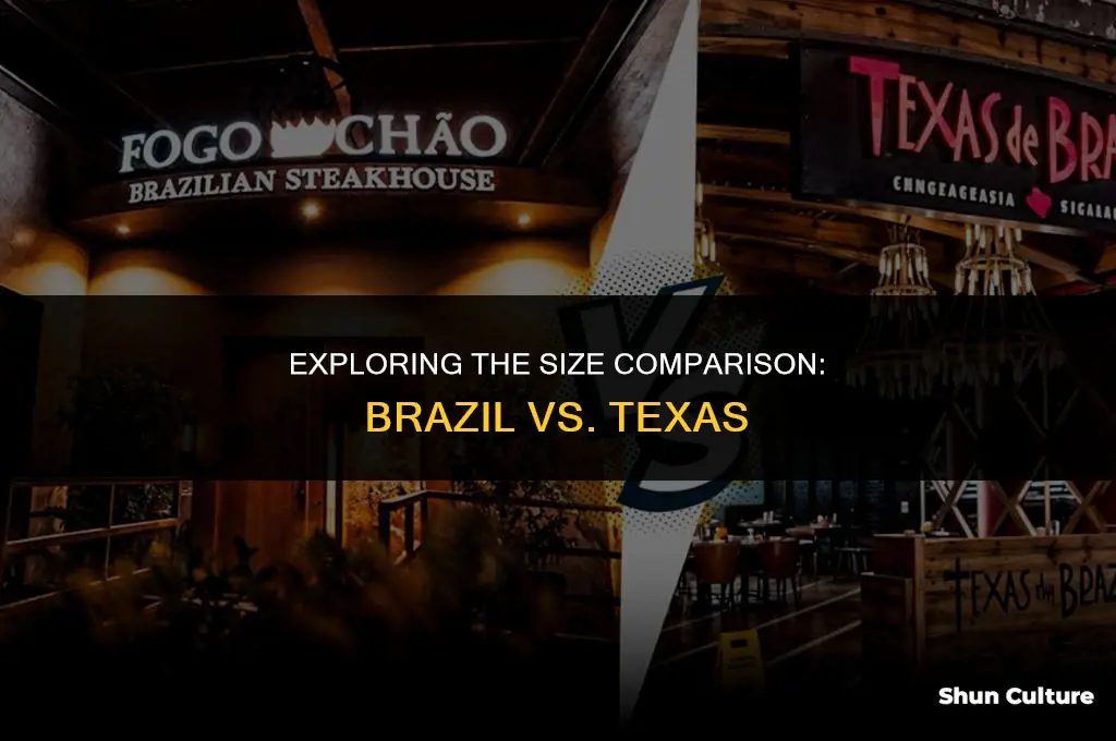 is brazil bigger than texas