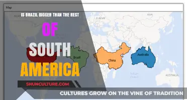 Exploring Brazil's Size: A Comparison with South America