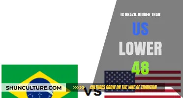 Exploring the Size Comparison: Brazil vs. the US Lower 48