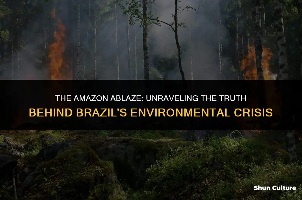 is brazil burning the amazon