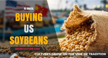 Brazil's Soybean Purchase: A Boost for US Farmers?