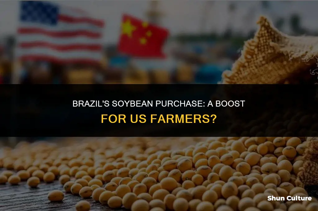 is brazil buying us soybeans
