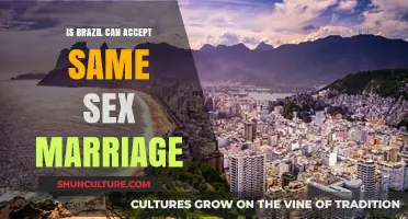Can Brazil Embrace Equality? The Debate Over Same-Sex Marriage