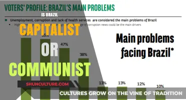 Exploring Brazil's Economic System: Capitalist, Communist, or Something Else?