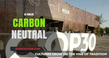Brazil's Carbon Neutrality: A Closer Look at the Facts