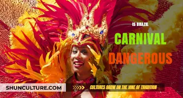 Exploring the Safety Myths of Brazil's Carnival: A Tourist's Guide