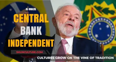 Assessing the Autonomy of Brazil's Central Bank: A Critical Look