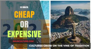 Exploring Brazil's Cost of Living: A Budget Traveler's Guide