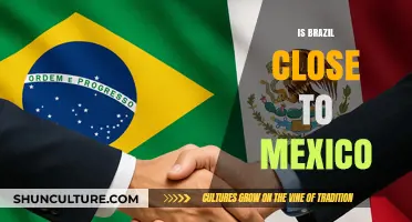 Exploring Proximity: Brazil and Mexico's Cultural and Economic Ties