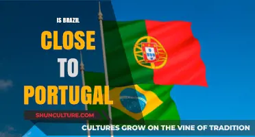 Exploring the Cultural and Geographic Ties Between Brazil and Portugal