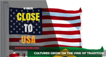 Exploring Proximity: Brazil and the USA's Cultural and Economic Ties