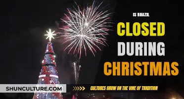 Brazil's Christmas Shutdown: What You Need to Know