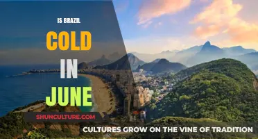 Exploring Brazil's June Climate: From Amazon to Copacabana