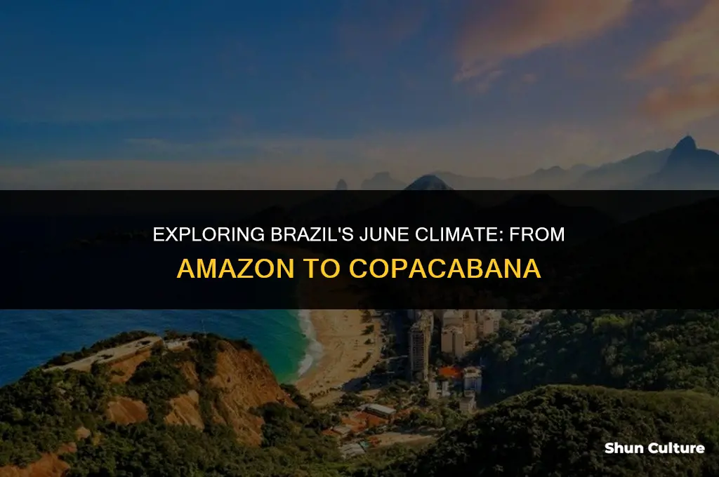 is brazil cold in june