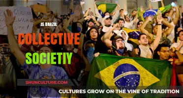 Exploring Brazil's Social Fabric: A Collective Society?