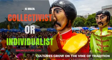 Exploring Brazil's Cultural Identity: Collectivism vs. Individualism