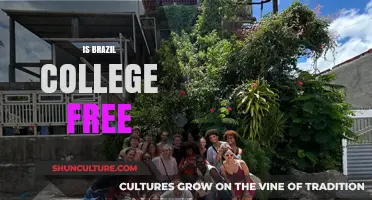 Exploring Higher Education in Brazil: Is College Free?