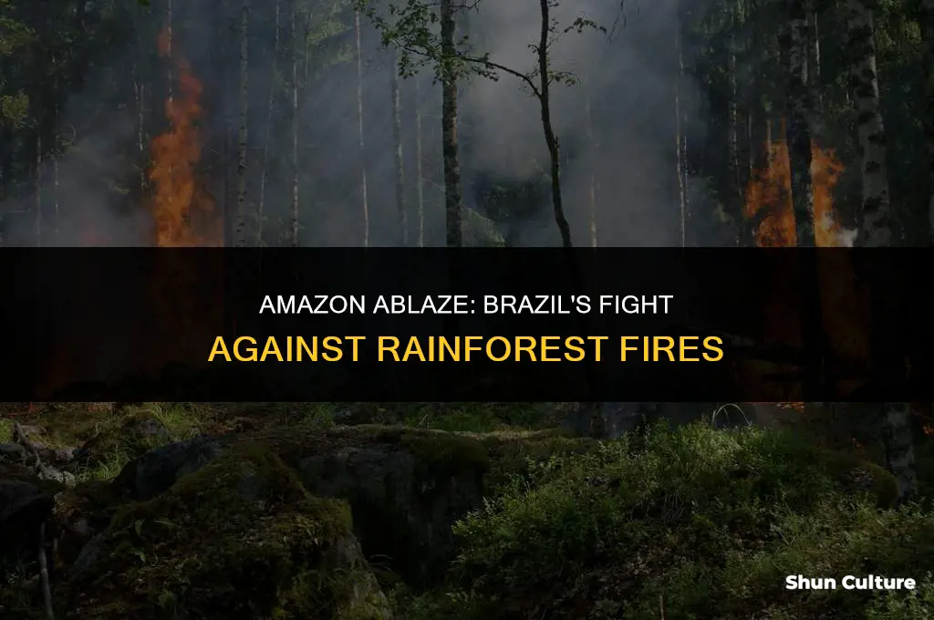 is brazil combating the fire in amazon rainforest