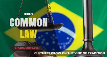 Exploring Brazil's Legal Framework: Common Law or Civil Law?