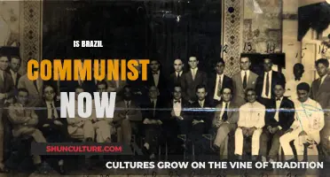 Exploring Brazil's Political Landscape: Is It Heading Towards Communism?