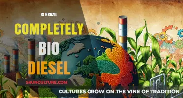 Exploring Brazil's Biofuel Revolution: A Complete Shift to Biodiesel?