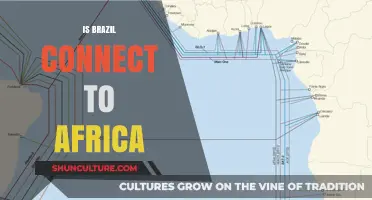 Exploring the Cultural and Historical Ties Between Brazil and Africa