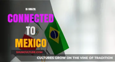 Exploring the Cultural and Economic Ties Between Brazil and Mexico