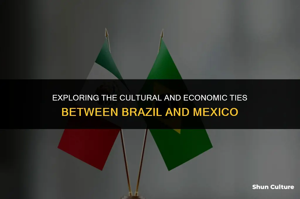 is brazil connected to mexico