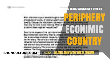 Brazil's Economic Role: Core or Periphery in Global Systems?