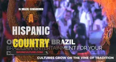 Is Brazil Hispanic? Exploring Language, Culture, and Identity in South America