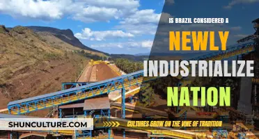 Brazil's Economic Evolution: From Developing to Newly Industrialized Nation