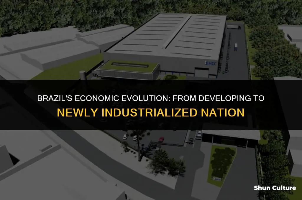 is brazil considered a newly industrialized nation