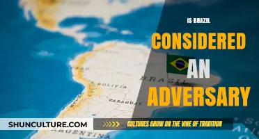 Brazil's Global Position: Ally or Adversary?