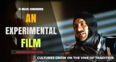 Exploring the Avant-Garde: Is Brazil an Experimental Film?